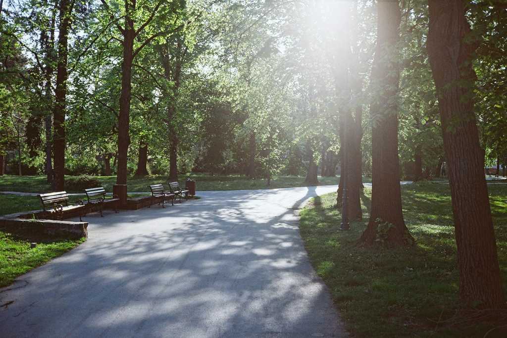 family day v okoli bratislavy 02