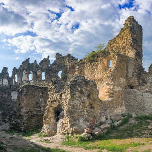 Hrad Šášov