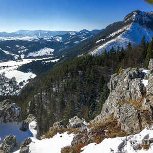 Čerenová skala - Chočské vrchy