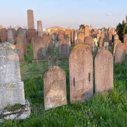 Židovský cintorín - Dunajská Streda