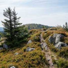 Malý Minčol - Malá Fatra